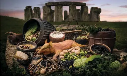  ??  ?? An artist’s impression of some of the food consumed by the builders of Stonehenge – a project initiated at the University of Sheffield. Photograph: Andre Pattenden/PA