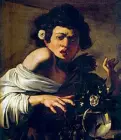  ??  ?? Caravaggio Il ragazzo morso da un ramarro, Fondazione Longhi