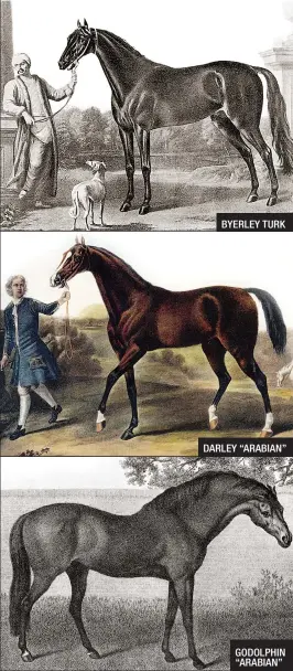  ??  ?? BYERLEY TURK
DARLEY “ARABIAN” GODOLPHIN “ARABIAN”