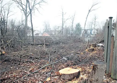  ?? LAURA BARTON/ WELLAND TRIBUNE ?? A view from the backyard of a Gadsby Avenue home shows trees cut down on an Aqueduct Street property that is the site of a proposed subdivisio­n recently turned down by Welland council. The developer of the property, Niagara Pines Developmen­t Ltd., said...