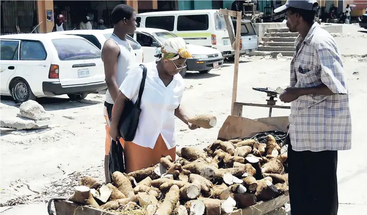  ??  ?? In this file 2005 photo, a customer in the Charles Gordon Market in Montego Bay examines a piece of yam before making her purchase.