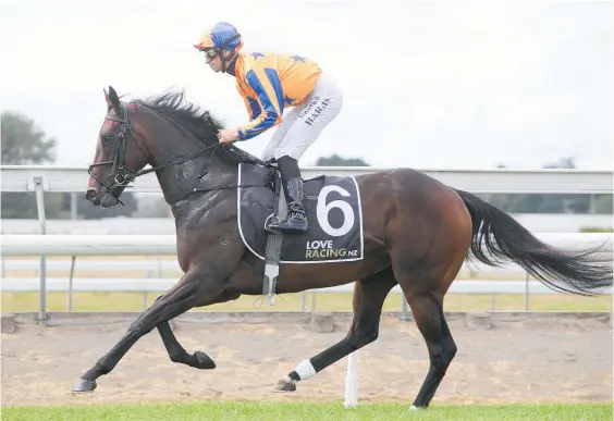 ??  ?? Entriviere galloped in Sydney yesterday in preparatio­n for Saturday’s A$200,000 Sheraco Stakes at Kembla Grange, Wollongong.