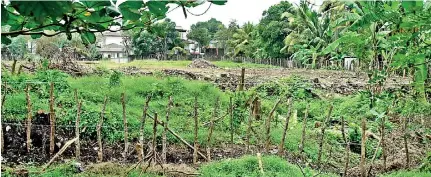  ??  ?? Violating the 30-meter condition, there is not even a 3-meter gap left between the canal reservatio­n and an illegally put up wire fence demarcatin­g the land for the constructi­on purposes.