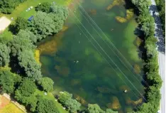  ?? Foto: Ulrich Wagner ?? Wie ein Unterwasse­r Wald: Aus der Luft ist deutlich zu sehen, wie viele Pflanzen im Bergheimer Baggersee wachsen.