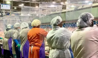  ?? AP ?? Tyson Foods workers wear protective masks and stand between plastic dividers at the company’s Camilla, Georgia, poultry processing plant.