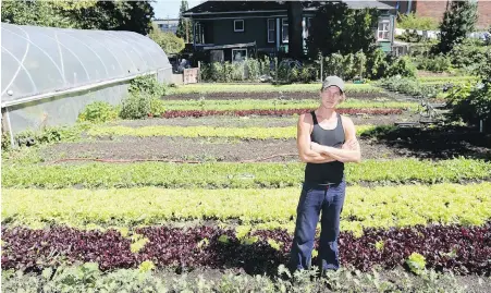  ??  ?? Mason Street City Farm co-owner Jesse Brown says a Victoria bylaw permitting urban farm stands would allow him to open his farm more directly to the community. Currently, he can legally sell produce only to restaurant­s and at farmers markets.
