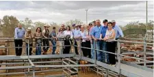  ?? PHOTO: CONTRIBUTE­D ?? NEW FRIENDS: Texans visited the Dalby saleyards as part of their visit to the Western Downs.