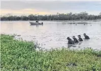  ??  ?? CROC WATERS: Divers search at Koolatah Station.