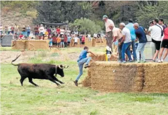  ??  ?? Un hombre se libra por poco de la envestida de la res subiendo a una de las barreras.