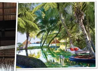  ??  ?? WATER WORLD: A guest admires the view from the resort’s main pool, far left. Amanda tries some aerial yoga, left, and snorkellin­g, below, during her stay at Reethi Rah. Above: An oasis in the gardens