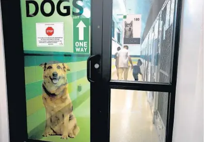  ?? MIKE STOCKER/ SOUTH FLORIDA SUN SENTINEL ?? A family checks out the dogs at the Broward County Animal Care and Adoption in Fort Lauderdale on Dec. 30. A stinging audit has uncovered a slew of problems at the troubled county- run animal shelter.