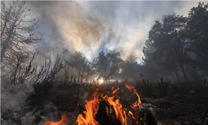  ?? Photograph: David McNew/Getty Images ?? A fire during a warning of excessive hot weather in Cherry Valley, California, August 2020.