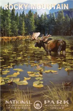  ??  ?? Rocky Mountain Moose, oil, 36 x 24"