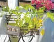  ?? FOTO: KARL-JOSEF HILDENBRAN­D/DPA ?? Im kleinen Garten sollte man auch an Gemüse in Hochbeeten denken.