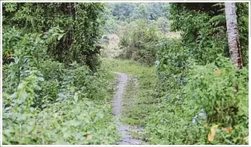  ?? PIX BY FATHIL ASRI ?? Some of the alleged ‘rat routes’ used by human traffickin­g syndicates in the KelantanTh­ailand border.