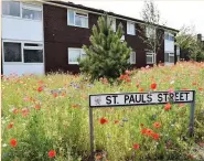 ??  ?? These wild flowers have been planted in front of the flats on St Paul’s Court, Union Road and St Paul’s Street, Oswaldtwis­tle
