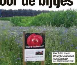  ?? Foto AGROBEHEER­CENTRUM ?? Voor bijen is een kleurrijke akkerrand een feestmaal.