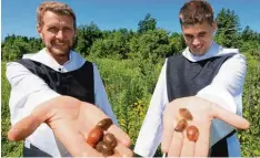  ?? Foto: Mathias Wild ?? Schnecken können zur Plage werden: Bruder Georg und Bruder Maximilian (rechts) aus der Abtei St. Severin in Kaufbeuren setzen dennoch auf sanfte Methoden, um die Kriechtier­e von ihren Gärten fernzuhalt­en.