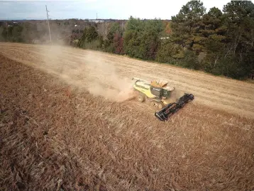  ?? — Reuters photo ?? Farmer of LFR Grain harvests a crop of soybeans at a farm in Hickory, North Carolina, US.