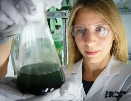  ?? PIERRE OBENDRaUF ?? Sarah Dorner, assistant professor in the department of civil, geological and mining engineerin­g at Polytechni­que, examines cyanobacte­ria samples in a laboratory yesterday. Dec. 6 is a sombre day in Montreal. But it should also be a moment to celebrate the achievemen­ts of women.