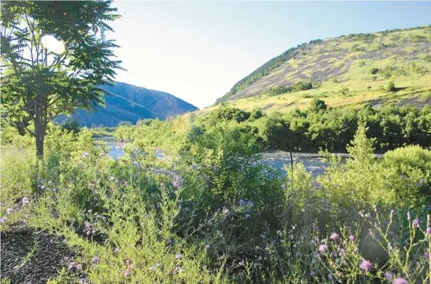  ?? LEHIGH GAP NATURE ?? Lehigh Gap Nature Center maintains a freely accessible wildlife refuge with trails and provides affordable environmen­tal education.