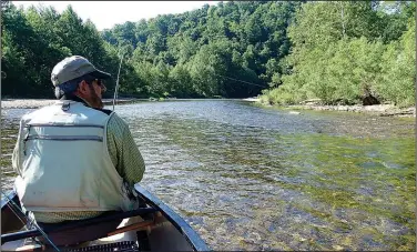  ?? NWA Democrat-Gazette/FLIP PUTTHOFF ?? Big Sugar Creek provides an easy and beautiful paddling trip in southwest Missouri. Russ Tonkinson of Rogers admires the view May 25 near Pineville, Mo.