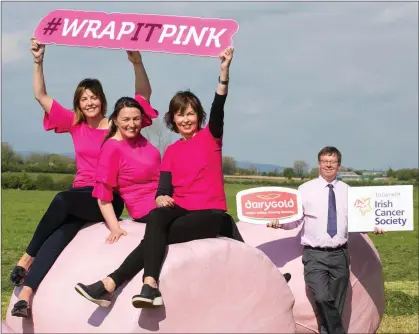  ??  ?? Caterine Murphy (right) from Newmarket who was diagnosed with breats cancer four-years ago launching the 2017 ‘Wrap It Pink’ campaign with Ellen Kearney from the Irish Cancer Society and Dairygold’s Gillian Foley and John O’Carroll. Photo: Arthur Ellis.