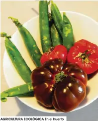  ??  ?? AGRICULTUR­A ECOLÓGICA En el huerto del príncipe de Broglie se cultivan dos plantas de cada variedad de tomate.