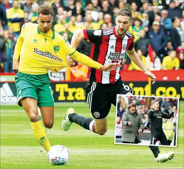  ?? PICTURES: Focus Images ?? GETTING SHIRTY: Sheffield United’s Chris Basham gets hold of Josh Murphy and, inset, Canaries boss Daniel Farke celebrates the victory