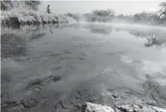  ??  ?? >Área natural de aguas termales única en Sinaloa.