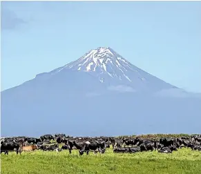  ??  ?? Dairy prices are likely to remain high, boding well for farmers and the economy.