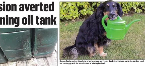  ??  ?? The oil tank after the fire was brought under control. Declan Roche sent us this photo of his two-year-old rescue dog Bobby helping out in the garden – and not too happy with the introducti­on of a hosepipe ban!