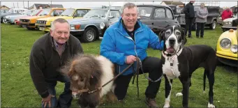  ??  ?? Willie Kelly and his Great Dane (right) with Mike Leen and his mini Shetland pony at the Vintage Rally in Banna.