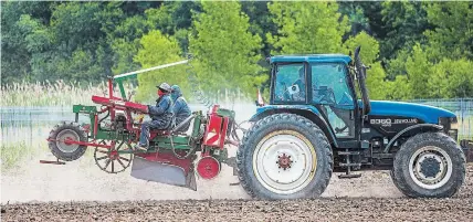  ?? BOB TYMCZYSZYN TORSTAR ?? In Niagara, at least 65 employees at a farm have become infected with COVID-19 while out in the community in which they work.