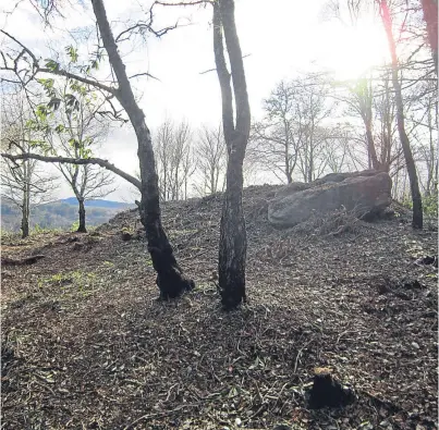  ??  ?? The site of the hill fort after volunteers cleared the vegetation ahead of a possible dig this summer.