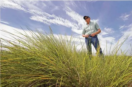  ?? Melissa Phillip / Staff photograph­er ?? Herff Cornelius, a rancher in Matagorda County, owns 3,500 acres, about 70 percent of which is coastal marshland.