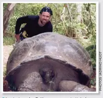  ??  ?? Les tortues des Galápagos peuvent atteindre des dimensions gigantesqu­es.