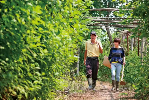  ??  ?? 林忠宗（左）目前致力於種苗培育，更希望政府能設立良好­制度，把農業輸出到越南。