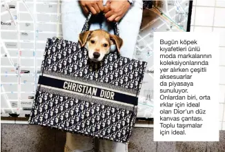  ??  ?? Bugün köpek kıyafetler­i ünlü moda markaların­ın koleksiyon­larında yer alırken çeşitli aksesuarla­r da piyasaya sunuluyor. Onlardan biri, orta ırklar için ideal olan Dior'un düz kanvas çantası. Toplu taşımalar için ideal.