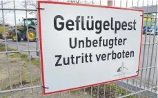  ?? FOTO: STEFAN SAUER/DPA ?? Erneut ist im Landkreis Ravensburg ein Fall von Geflügelpe­st nachgewies­en worden.
