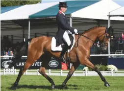  ??  ?? Last year’s winner Oliver Townend holds three top-10 spots after the dressage, including seventh aboard Cooley SRS (pictured)