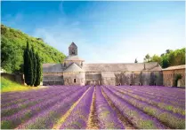  ??  ?? Rhone delights: Fields of lavender and the famous bridge at Avignon. Top: Celebrity chef Fabien Morreale