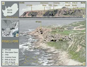  ?? Picture:DR CURTIS MAREAN ?? PRIME PALAEO-PROPERTY: The illustrati­on shows the Pinnacle Point complex of archaeolog­ical caves near Mossel Bay. Along with the Blombos cave, 100km further west, and Klasies River Mouth in Tsitsikamm­a, the PP13B and PP5-6 sites are the heart of groundbrea­king palaeo-research involving Nelson Mandela University. PP13B is regarded as 'the oldest shellfish restaurant on the planet' with evidence that early modern humans dined on this bounty at least 168,000 years ago