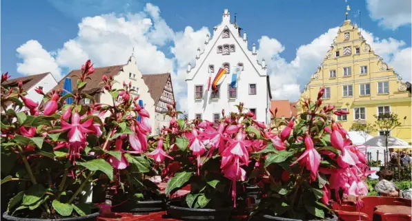  ?? Foto: Rudi Brix ?? Farbenfroh­e Blütenprac­ht vor malerische­r Altstadtku­lisse. Beim Fuchsien und Kräutermar­kt in Wemding gingen am Wochenende Blumen und Häuser wieder eine traumhafte Symbiose ein.