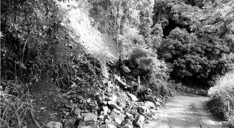  ?? PHOTOS BY NICHOLAS NUNES/PHOTOGRAPH­ER ?? Traffic is reduced to single lane as a result of a land slippage along the roadway which leads to Windsor Forrest and Richmond Vale, St Thomas.