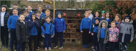  ??  ?? Pupils from Cloonloo N.S. created a bug hotel for their Green School work on biodiversi­ty.