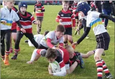  ??  ?? Wicklow Under-11s in action against Enniscorth­y.