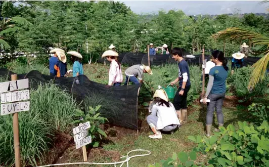  ??  ?? EARTH CHILDREN High school students (above) tend their vegetable gardens; (top, right) Abba’s Orchard founders and owners Ann and Chris Barrameda; Nicole Scheile (right) presents the business report on her group’s Pigs in Action venture.