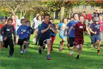  ?? MICHILEA PATTERSON — DIGITAL FIRST MEDIA ?? Children run from the start line at Warwick County Park last Tuesday for the Owen J. Roberts School District annual Elementary Fun Run.