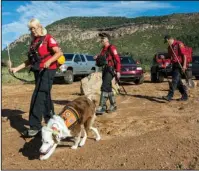  ?? The Associated Press ?? SEARCH EFFORTS: Volunteer rescuers from Navajo County begin searching for a missing 27-year-old man in Tonto National Forest, Ariz., on Monday. The man was swept downriver with more than a dozen others when floodwater­s inundated the area on Saturday.